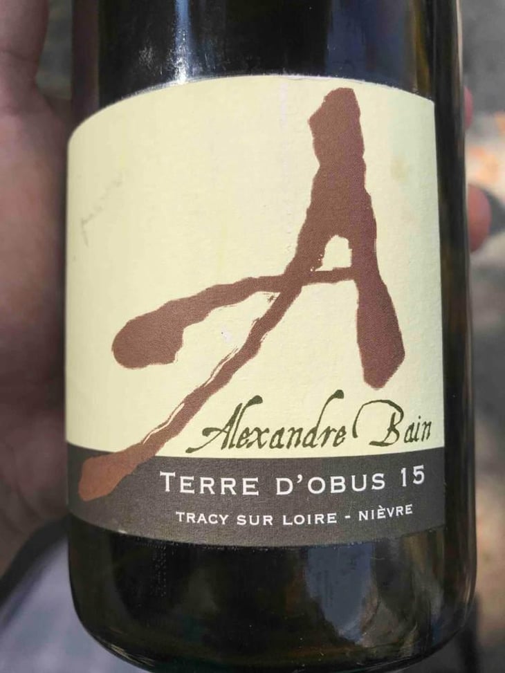 Terres d'Obus - Domaine Alexandre Bain - Alexandre Bain 