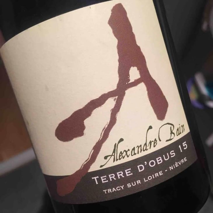Terres d'Obus - Domaine Alexandre Bain - Alexandre Bain 