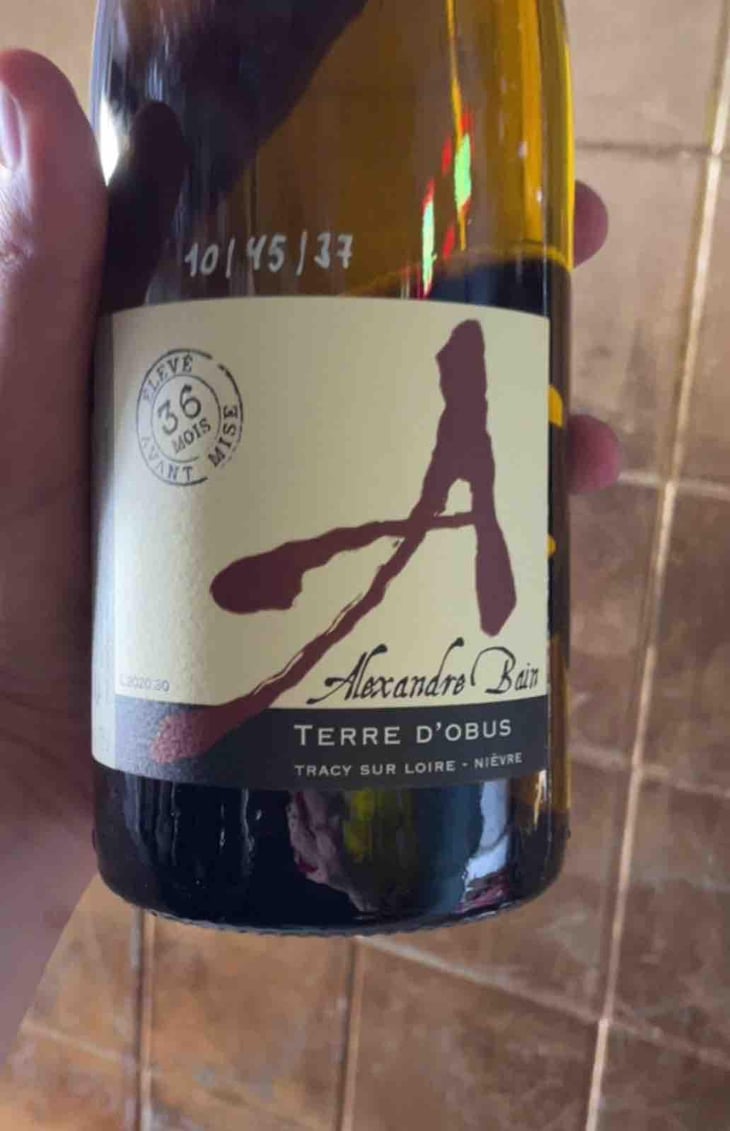 Terres d'Obus - Domaine Alexandre Bain - Alexandre Bain 