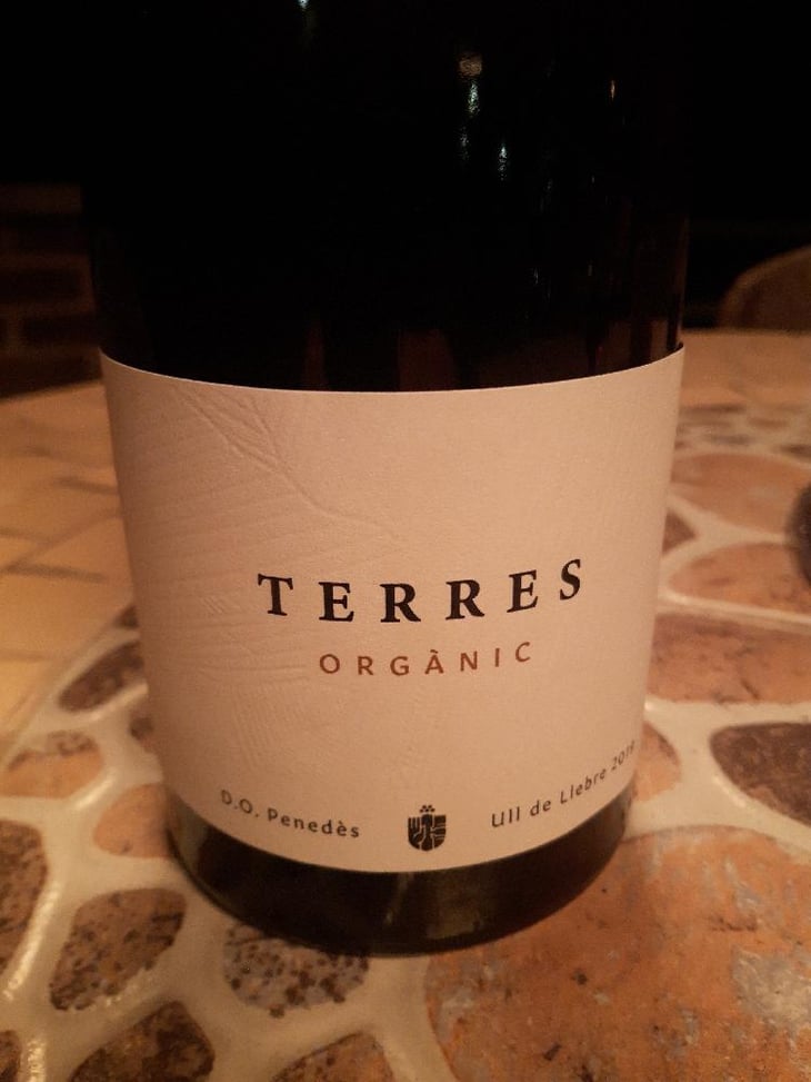 Terres Organic - Terres Wine - Josep Masachs -2019