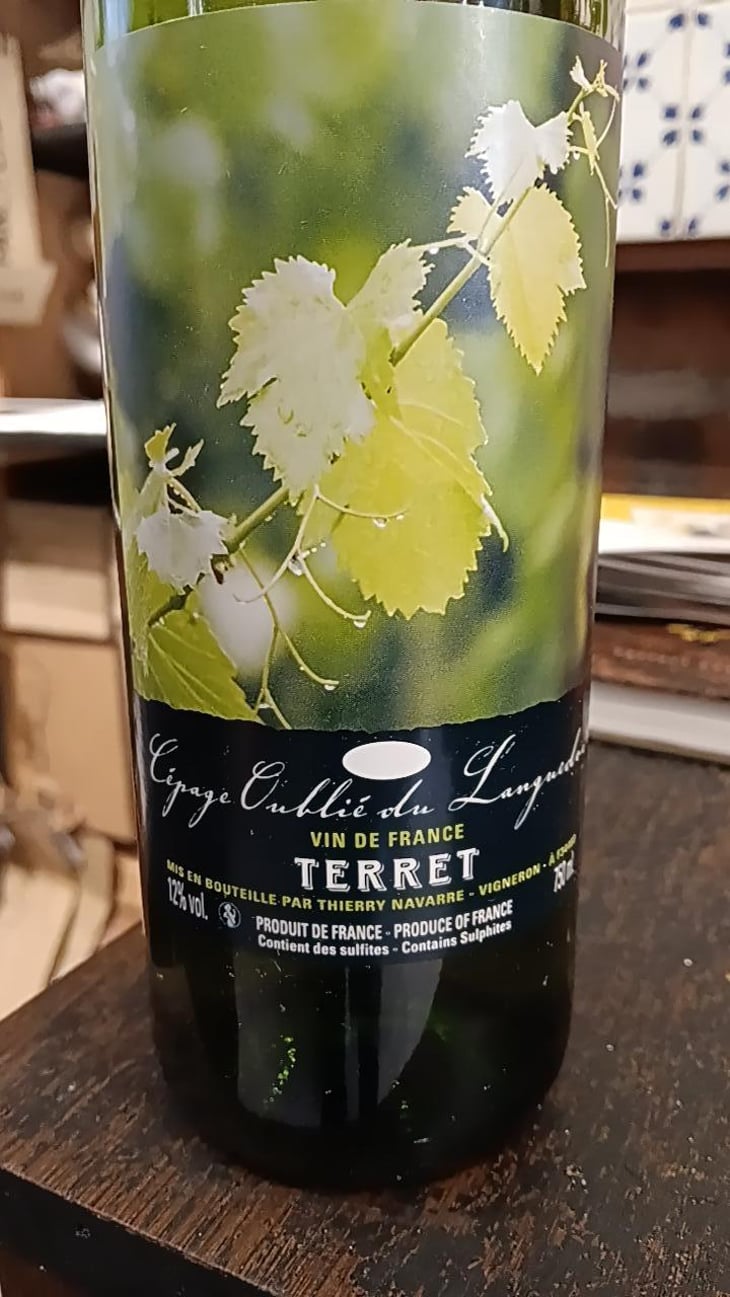 Terret - Thierry Navarre - Thierry Navarre 