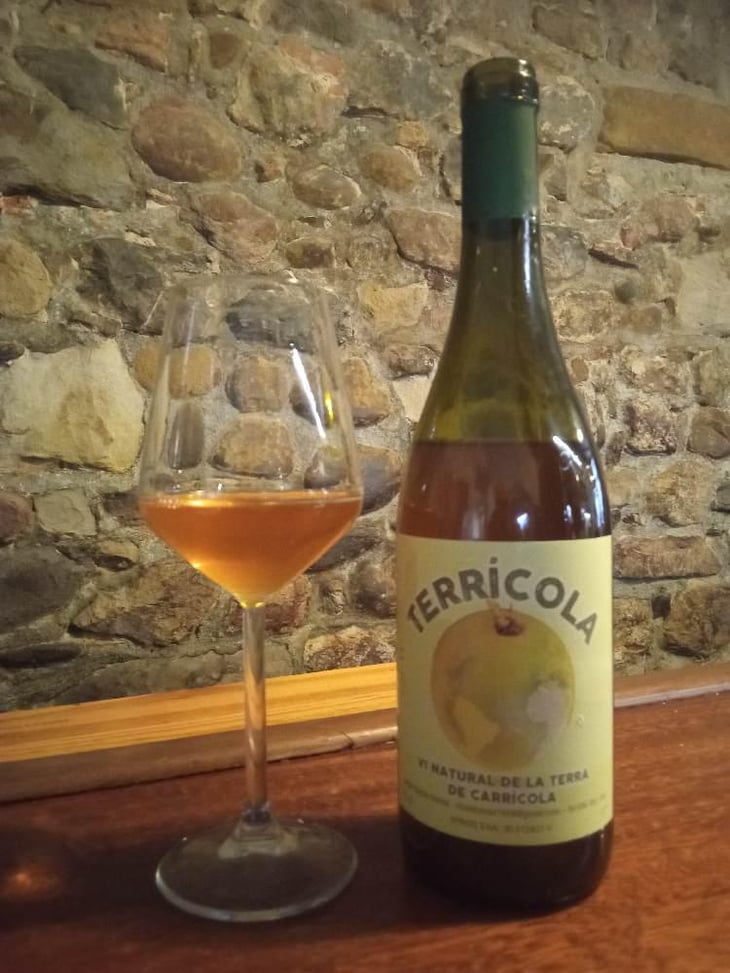 Terricola Negre - Celler Tomàs Torres - Vicent Tomas Soler -2018