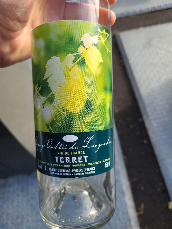 Terret - Thierry Navarre - Thierry Navarre 