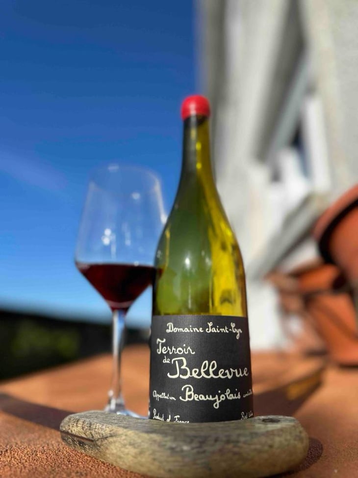 Terroir de Bellevue - Domaine Saint-Cyr - Raphaël Saint-Cyr 