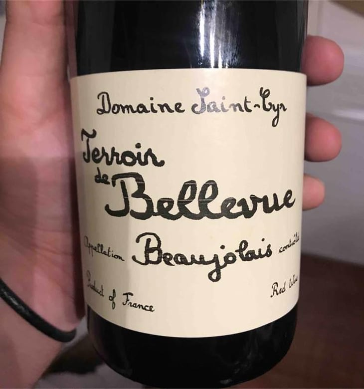 Terroir de Bellevue - Domaine Saint-Cyr - Raphaël Saint-Cyr 