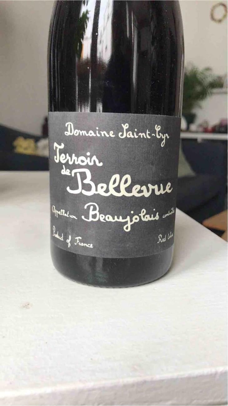 Terroir de Bellevue - Domaine Saint-Cyr - Raphaël Saint-Cyr 