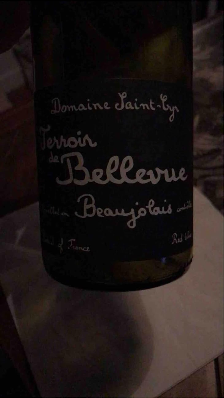 Terroir de Bellevue - Domaine Saint-Cyr - Raphaël Saint-Cyr 
