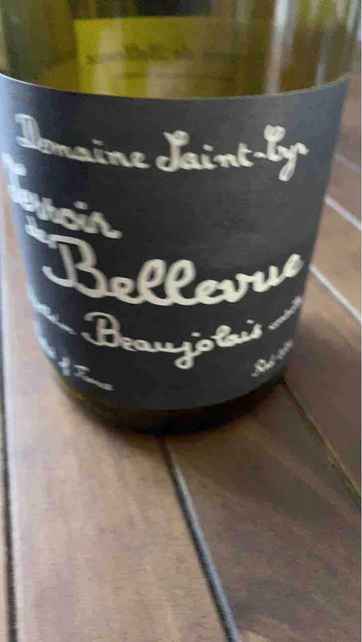 Terroir de Bellevue - Domaine Saint-Cyr - Raphaël Saint-Cyr 