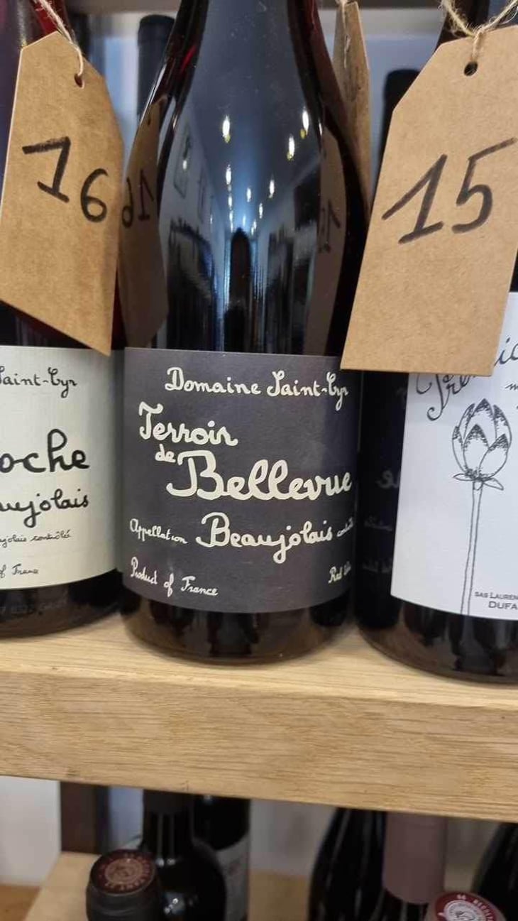 Terroir de Bellevue - Domaine Saint-Cyr - Raphaël Saint-Cyr 