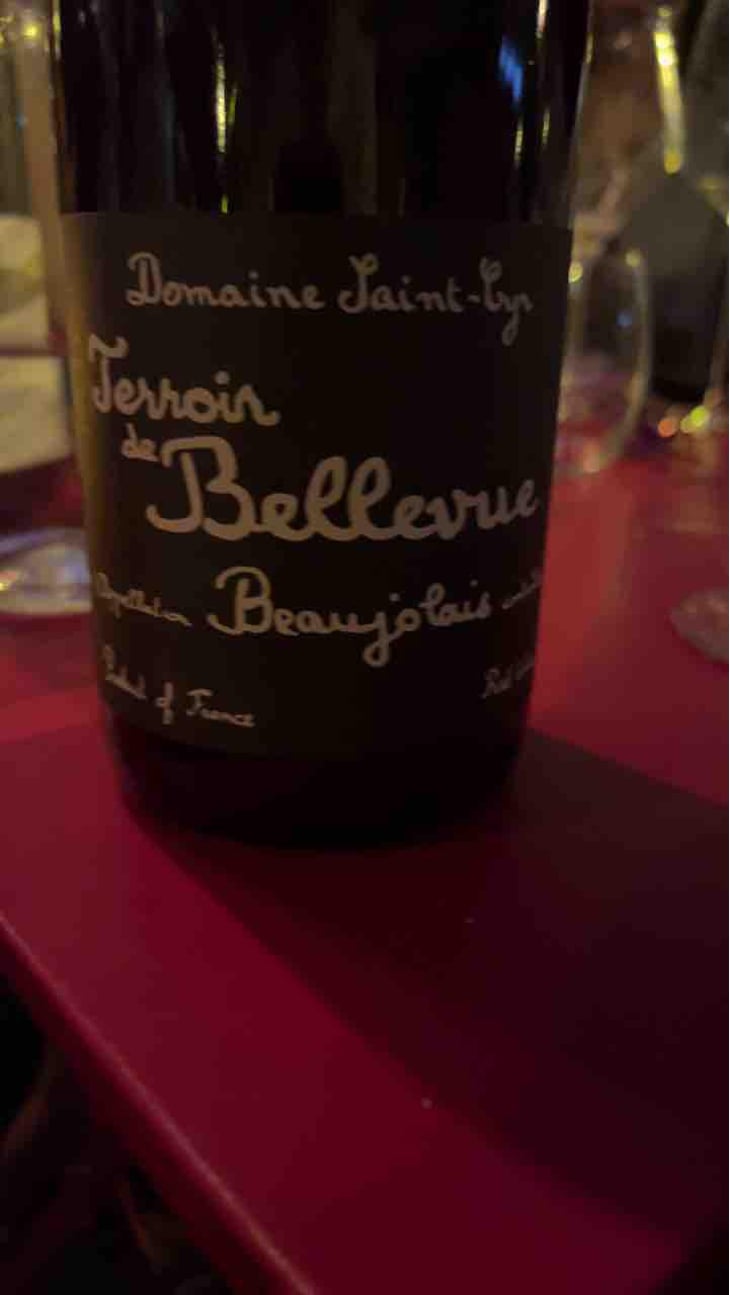 Terroir de Bellevue - Domaine Saint-Cyr - Raphaël Saint-Cyr 