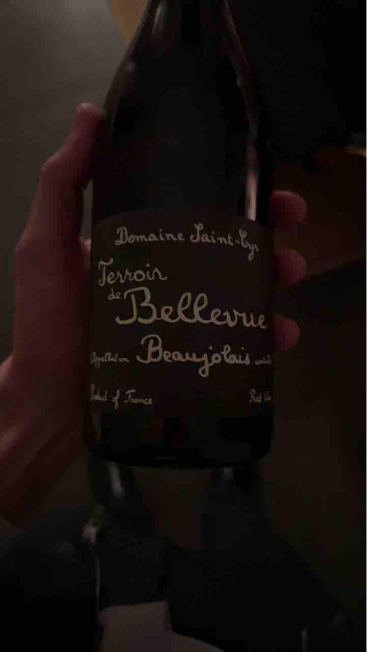 Terroir de Bellevue - Domaine Saint-Cyr - Raphaël Saint-Cyr 
