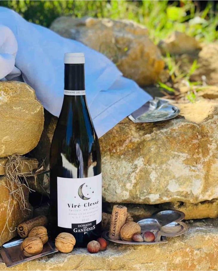 Terroir De Clessé - Domaine des Gandines - Benjamin et Florent Dananchet 