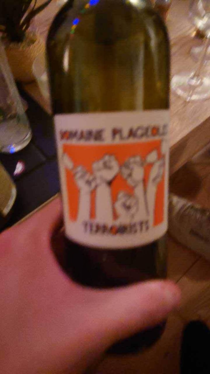 Terroirists 2 - Domaine Plageoles - Bernard, Florent & Romain Plageoles 