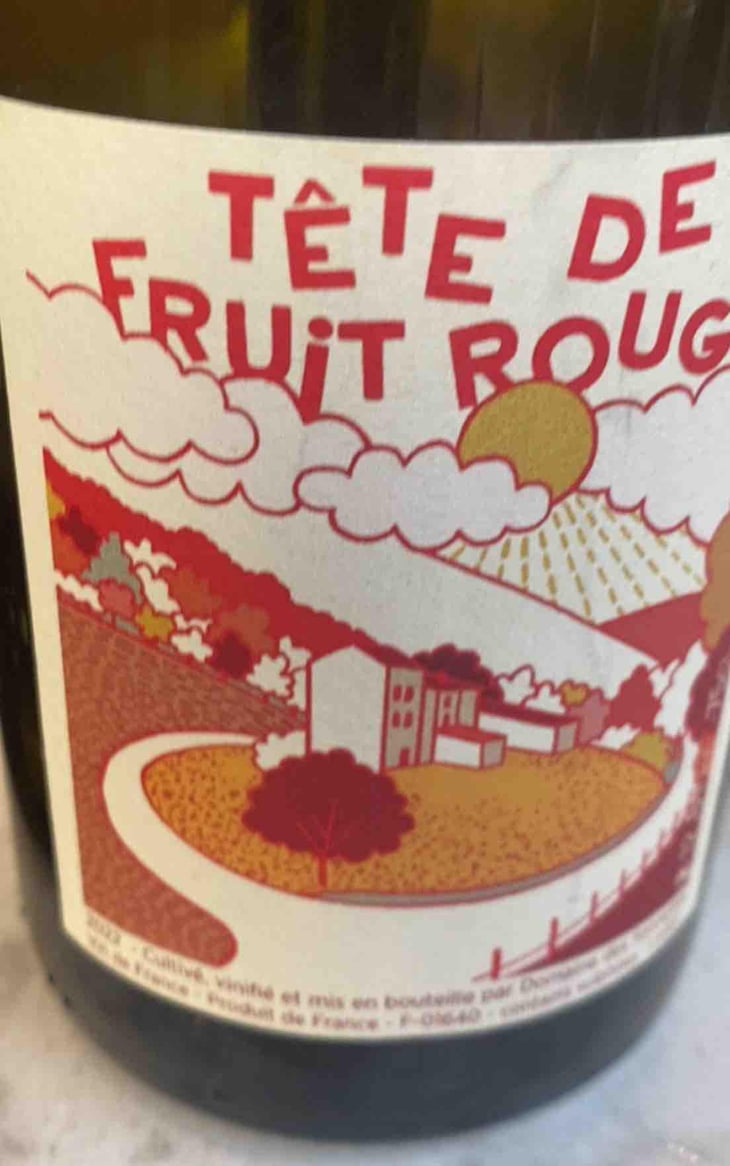 Tête de fruit - Domaine des Sonnettes - Sonshine Vins - Edouard Gouyette & Lisanne van Son 