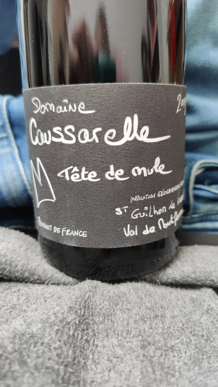 Tête De Mule - Domaine Caussarelle - Maxence Panchau 