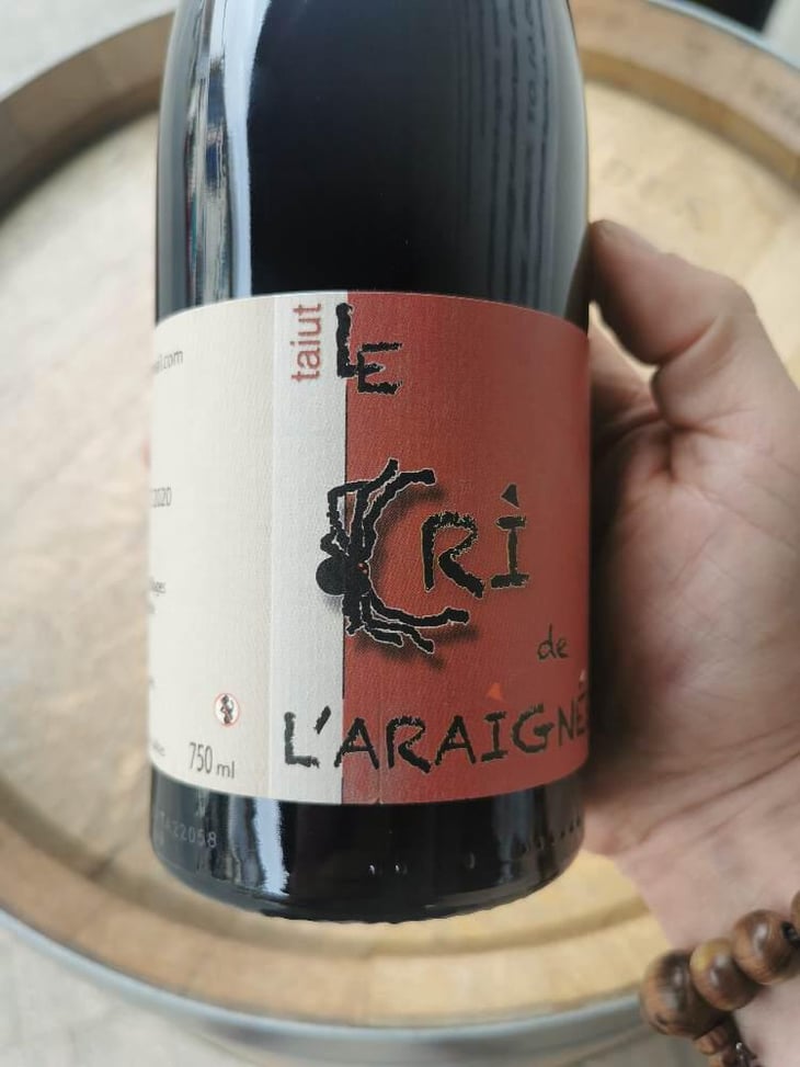 Taiut - Le Cri de L'Araignée - Olivier Trombetta 