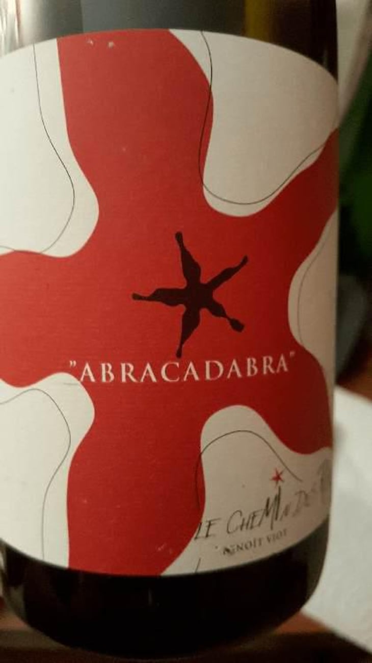 L'abracadabra - Le Chemin Des Rêves - Benoit Viot 