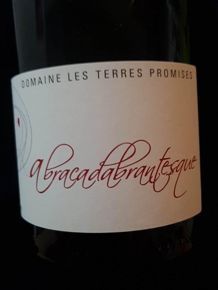 L’abracadabrantesque - Les Terres Promises - Jean-Christophe Comor 