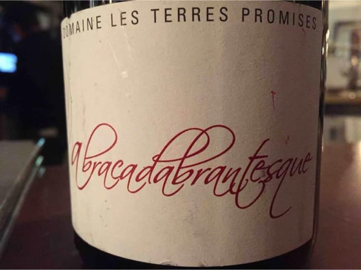 L’abracadabrantesque - Les Terres Promises - Jean-Christophe Comor 