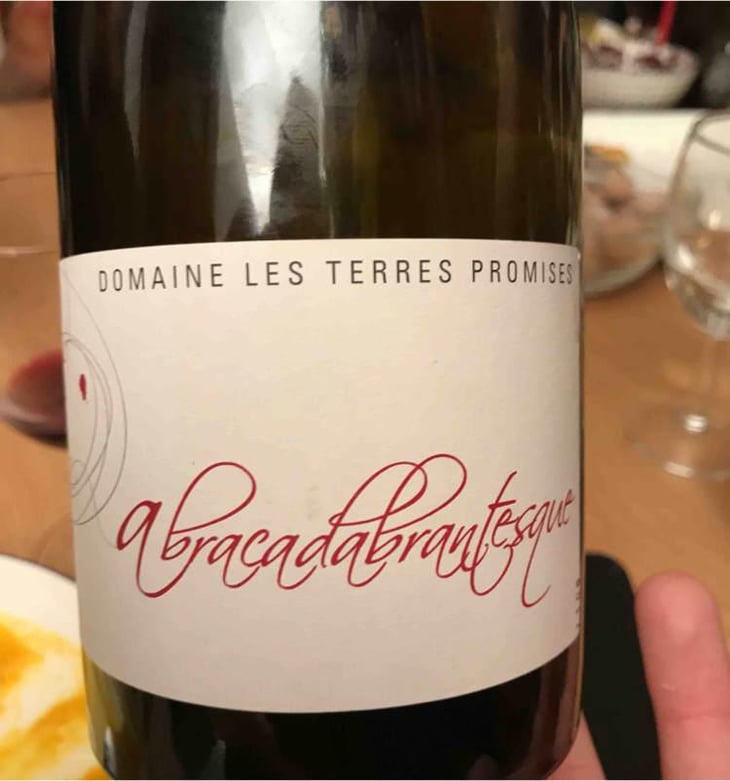 L’abracadabrantesque - Les Terres Promises - Jean-Christophe Comor 