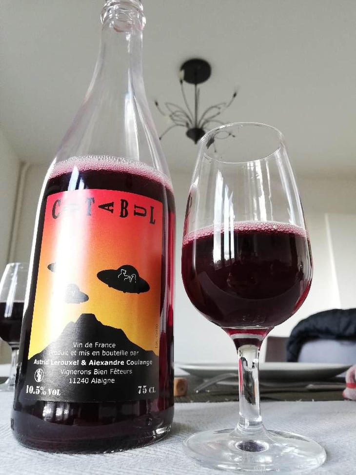 cotabul - Domaine Thuronis - Vigneron Bien Fêteur - Alexandre Coulange & Astrid Lerouxel -2020