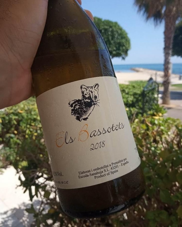 Els Bassotets - Celler Escoda Sanahuja - Joan Ramón Escoda Martinez 