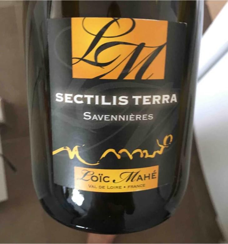 Sectilis Terra - Loïc Mahé - Loïc Mahé 