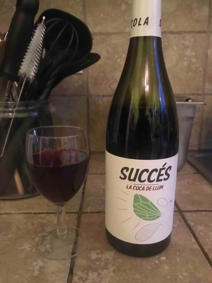 La Cuca de Llum - Celler Succés Vinícola - Mariona Vendrell & Albert Canela 