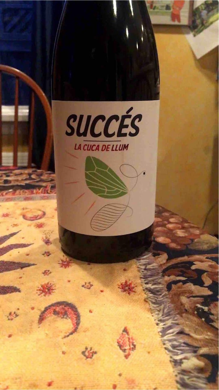 La Cuca de Llum - Celler Succés Vinícola - Mariona Vendrell & Albert Canela 