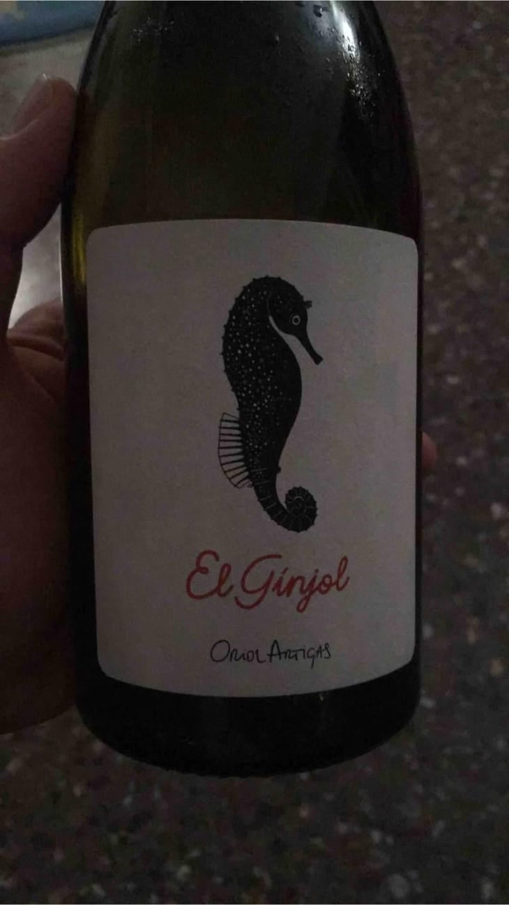 El Ginjol - Mas Pellisser - Oriol Artigas 