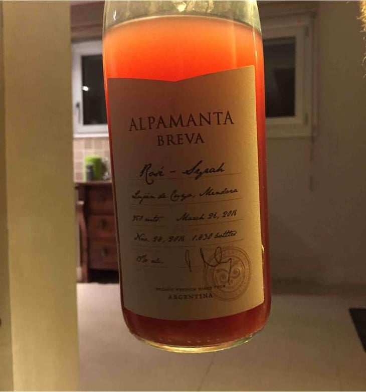 Breva Rosé Syrah - Alpamanta - Andrej Razumovsky 