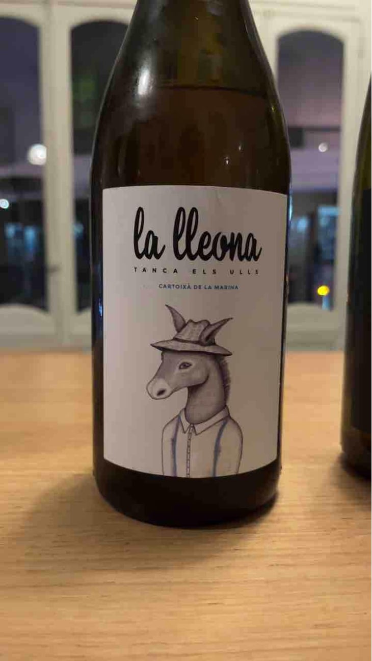 La Lleona - Celler Tanca Els Ulls - Francesc Boronat Fernandez 