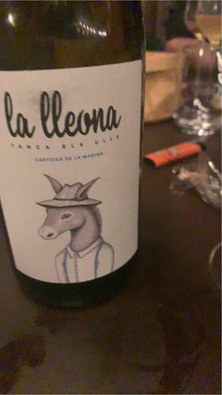 La Lleona - Celler Tanca Els Ulls - Francesc Boronat Fernandez 