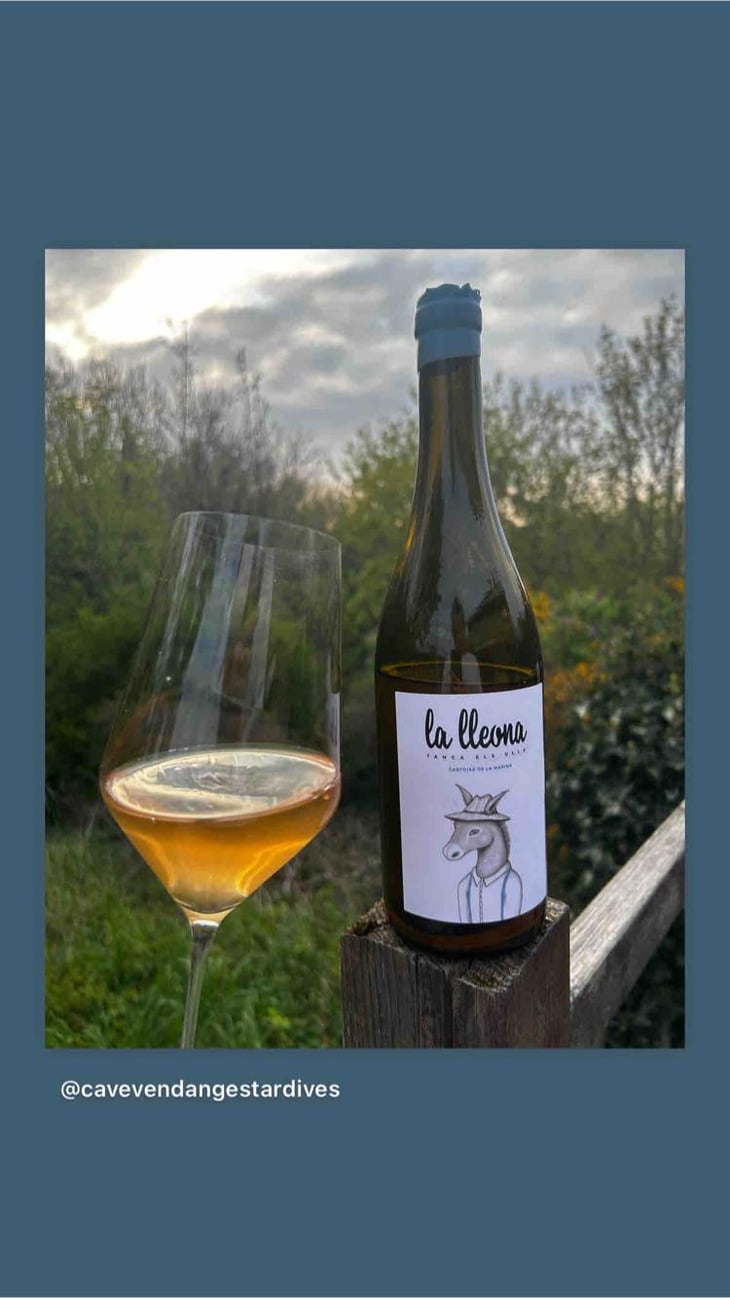 La Lleona - Celler Tanca Els Ulls - Francesc Boronat Fernandez 