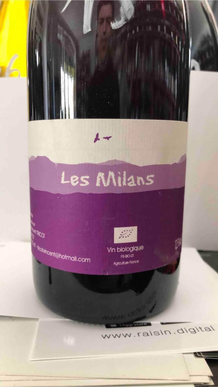 Les Milans - Marie et Vincent Tricot - Vincent et Marie Tricot 