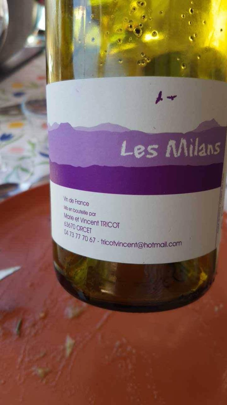 Les Milans - Marie et Vincent Tricot - Vincent et Marie Tricot 