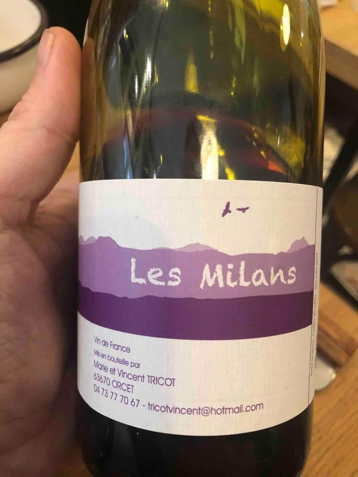 Les Milans - Marie et Vincent Tricot - Vincent et Marie Tricot 
