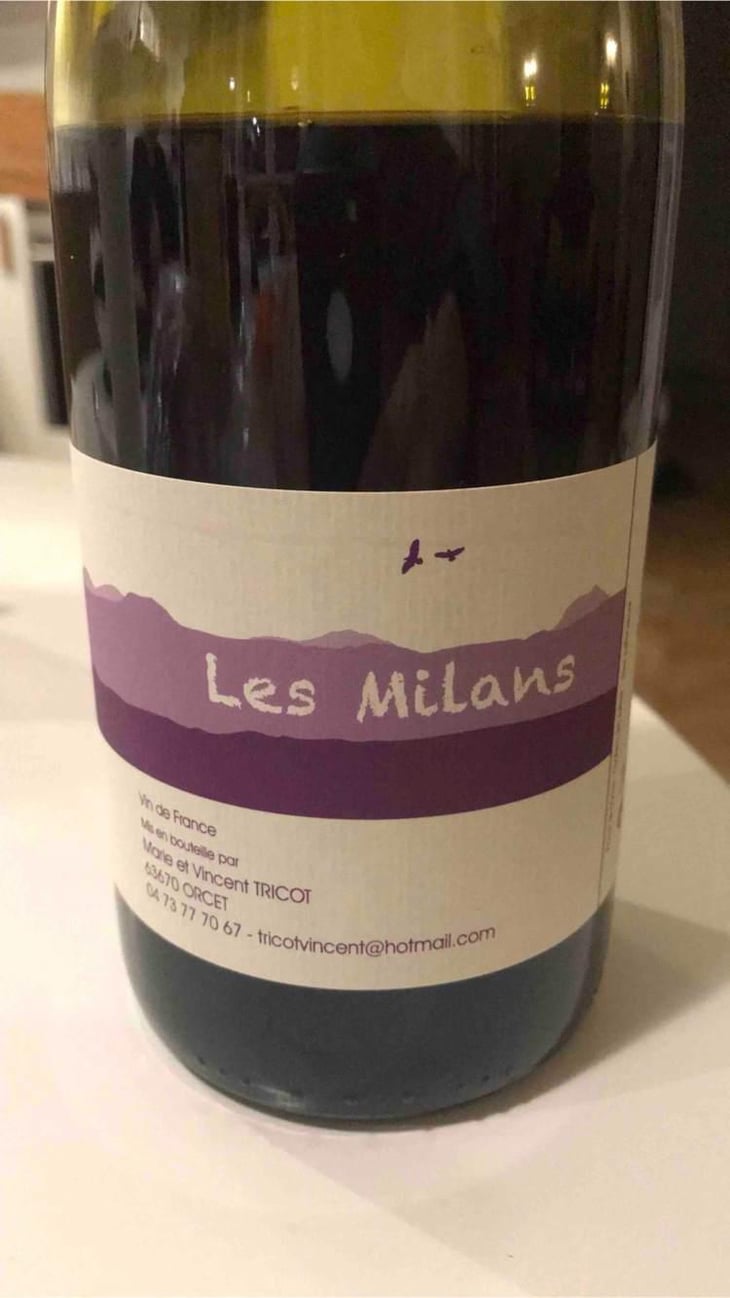Les Milans - Marie et Vincent Tricot - Vincent et Marie Tricot 