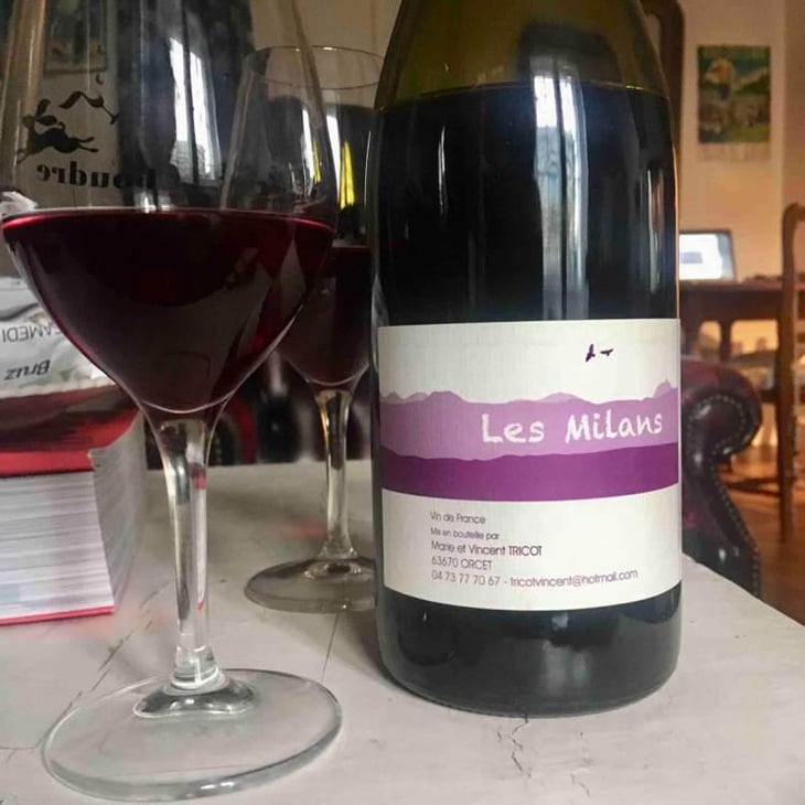 Les Milans - Marie et Vincent Tricot - Vincent et Marie Tricot 