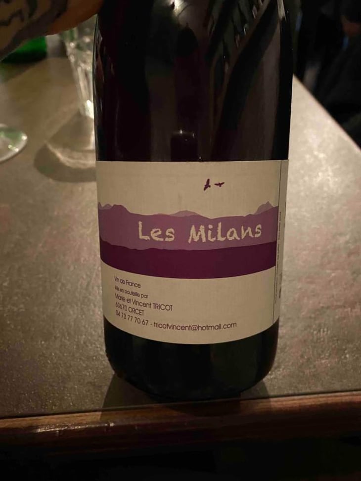Les Milans - Marie et Vincent Tricot - Vincent et Marie Tricot 