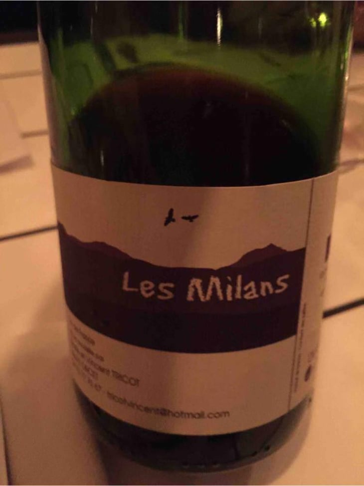 Les Milans - Marie et Vincent Tricot - Vincent et Marie Tricot 