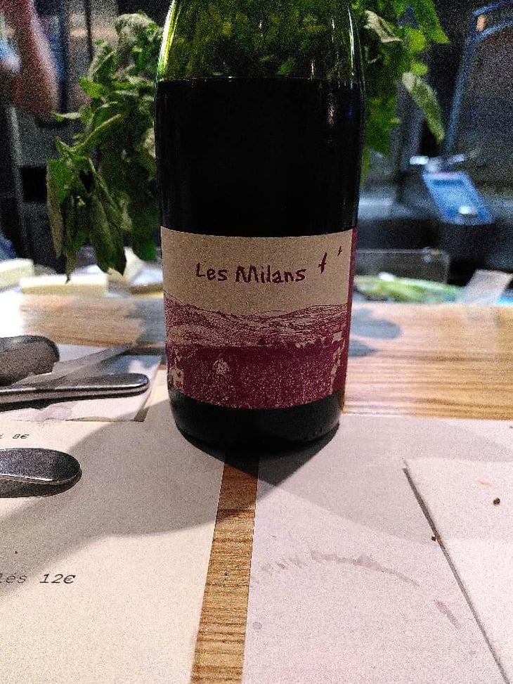 Les Milans - Marie et Vincent Tricot - Vincent et Marie Tricot 
