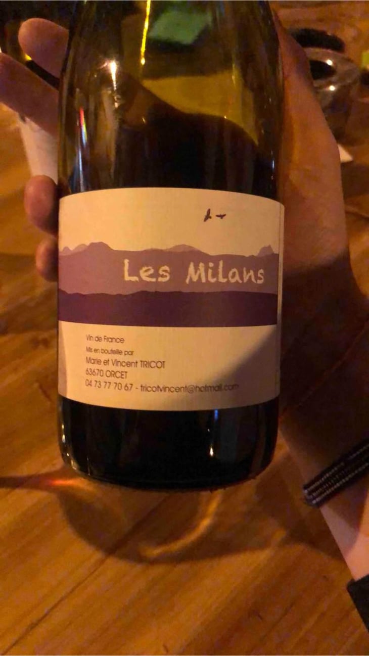 Les Milans - Marie et Vincent Tricot - Vincent et Marie Tricot 