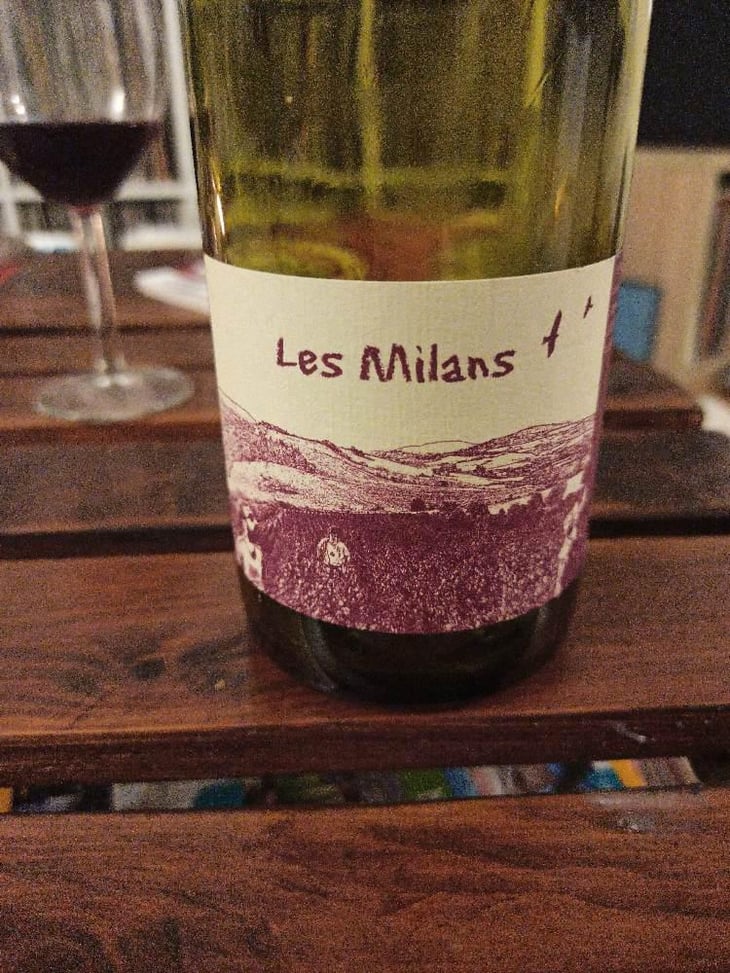 Les Milans - Marie et Vincent Tricot - Vincent et Marie Tricot 