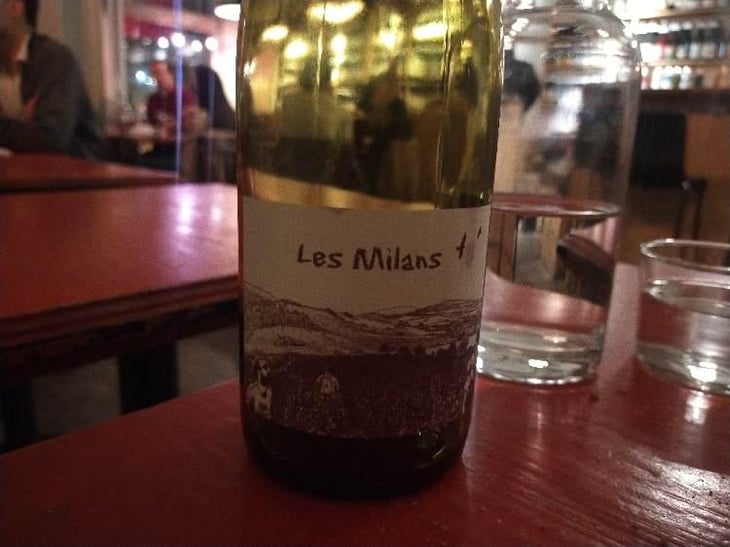 Les Milans - Marie et Vincent Tricot - Vincent et Marie Tricot 