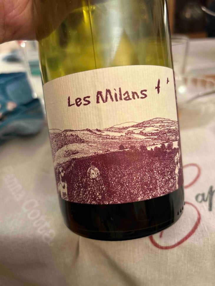 Les Milans - Marie et Vincent Tricot - Vincent et Marie Tricot 