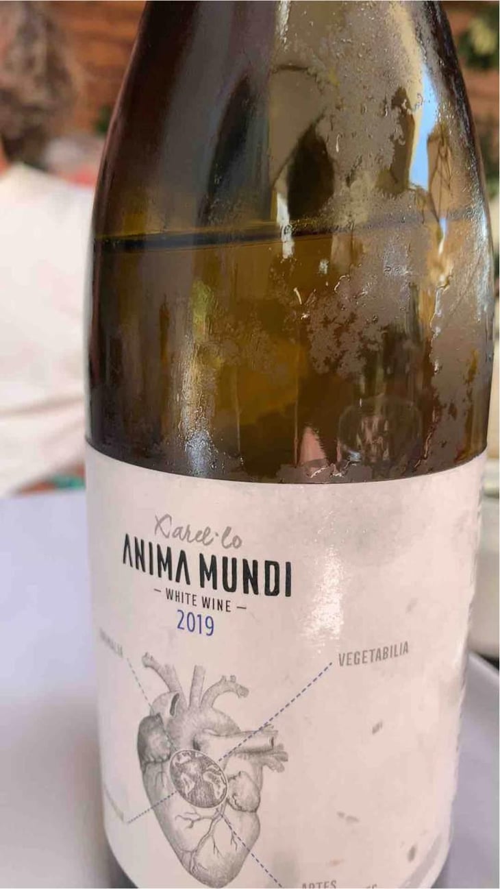 El Boet Vell - Anima Mundi - Agustí Torelló Roca 