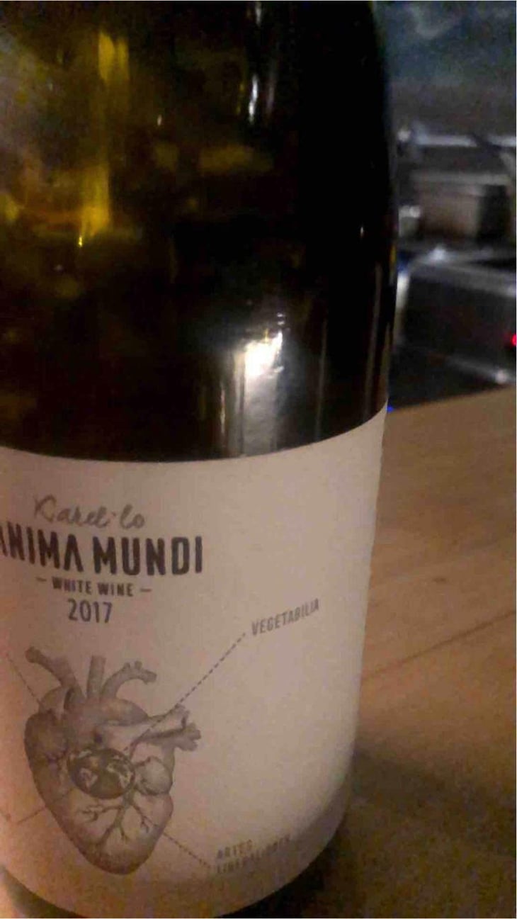 El Boet Vell - Anima Mundi - Agustí Torelló Roca 