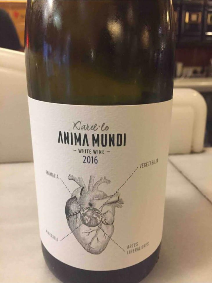 El Boet Vell - Anima Mundi - Agustí Torelló Roca 