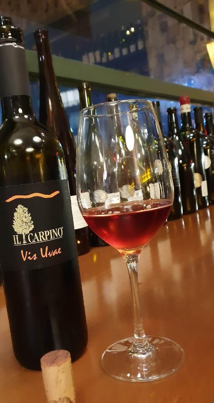 Vis Uvae - Azienda Agricola IL CARPINO - Franco & Anna Sosol 